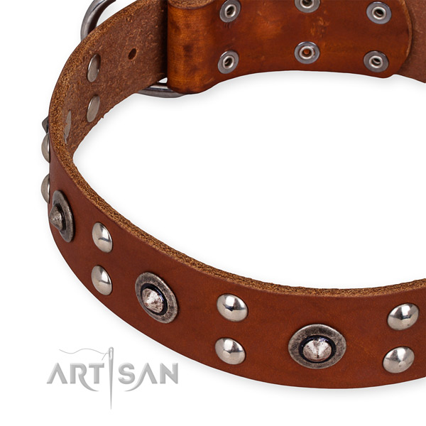 Snugly fitted leather dog collar with resistant to tear and wear brass plated hardware