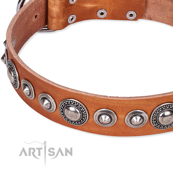 Snugly fitted leather dog collar with extra sturdy non-rusting buckle