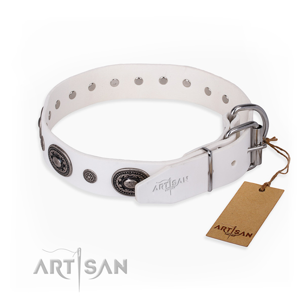 Practical leather collar for your beloved canine
