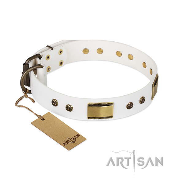 Fashionable design adornments on full grain genuine leather dog collar