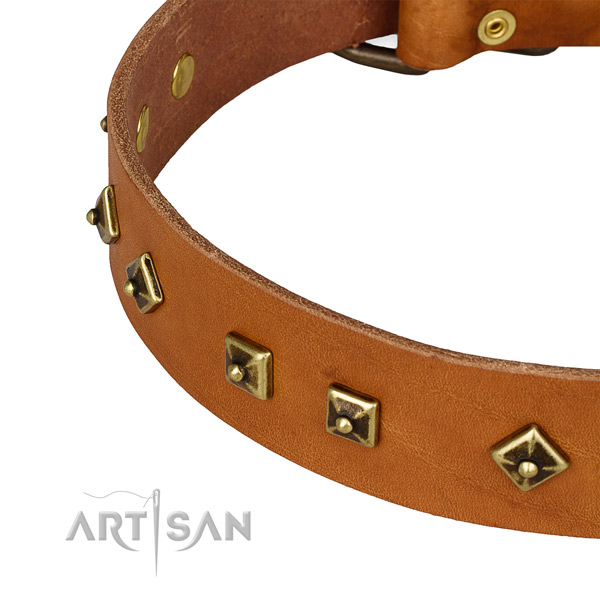 Handy use leather collar with rust-proof buckle and D-ring