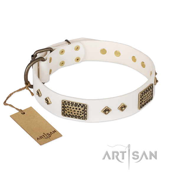 Remarkable design embellishments on leather dog collar