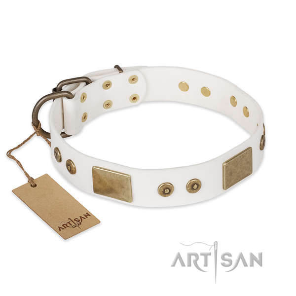 Unique design adornments on full grain leather dog collar