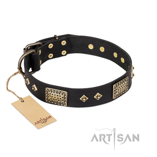 Awesome design embellishments on leather dog collar