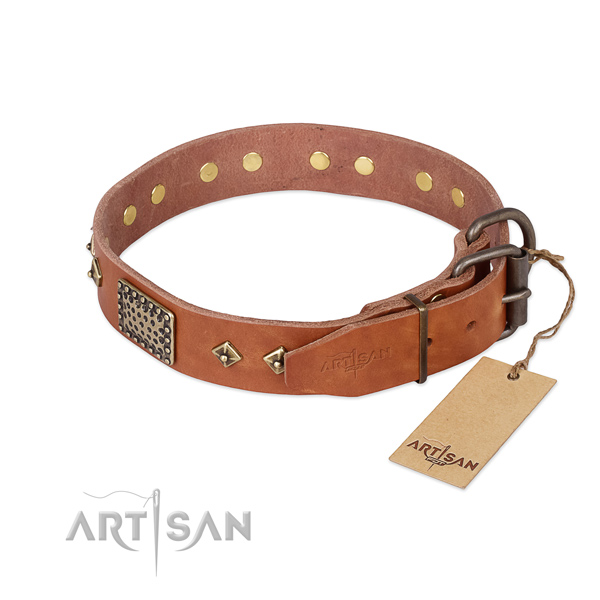 Walking full grain natural leather collar with studs for your canine