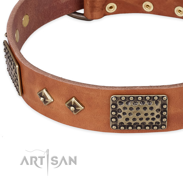 Everyday use full grain natural leather collar with corrosion resistant buckle and D-ring