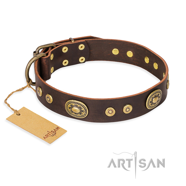 Tough leather dog collar with strong elements