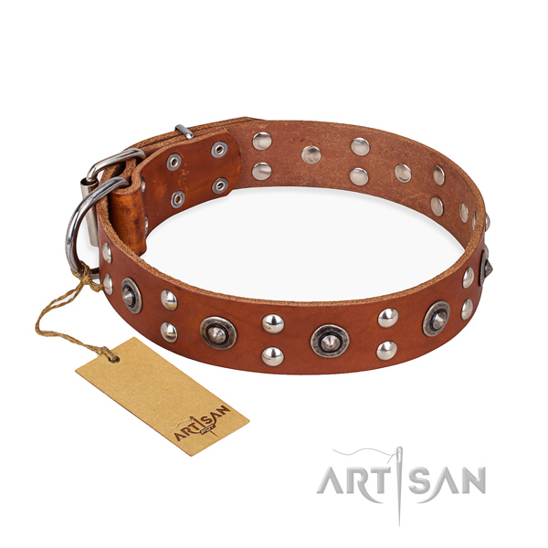 Exquisite design embellishments on leather dog collar