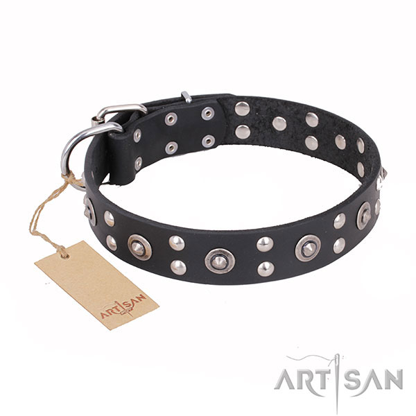 Fashionable design adornments on full grain natural leather dog collar