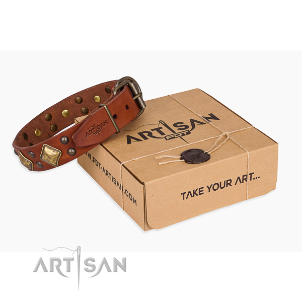 Awesome full grain leather dog collar for everyday use