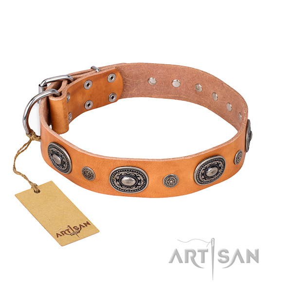 Awesome design embellishments on full grain leather dog collar