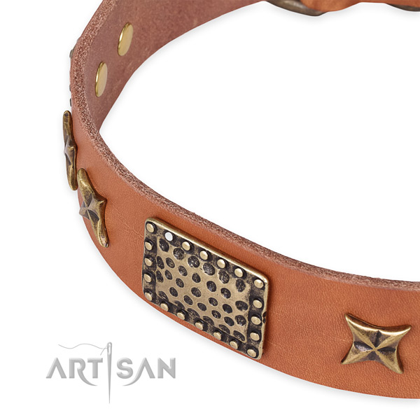 Snugly fitted leather dog collar with resistant buckle