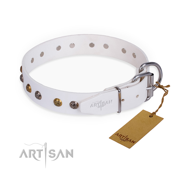 Fashionable leather collar for your beloved dog
