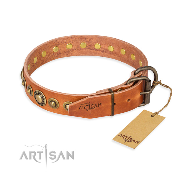 Practical leather collar for your noble pet