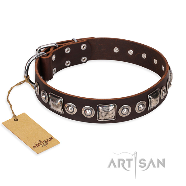 Reliable leather dog collar with rust-resistant fittings