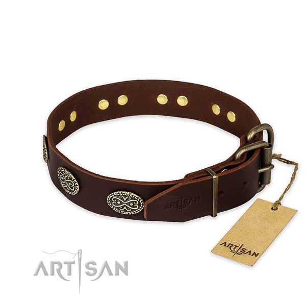 Everyday walking full grain natural leather collar with embellishments for your four-legged friend