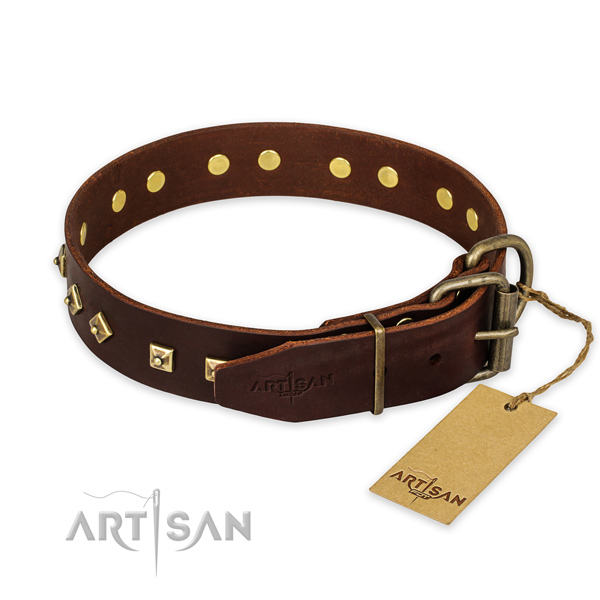 Walking full grain leather collar with adornments for your pet
