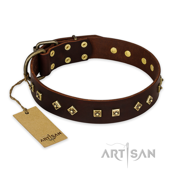 Stunning design embellishments on full grain genuine leather dog collar