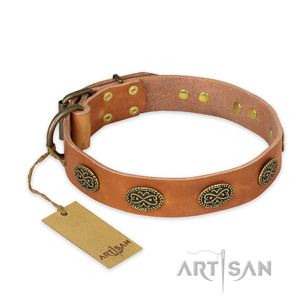 Trendy design adornments on leather dog collar