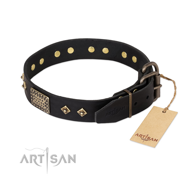 Everyday use leather collar with embellishments for your canine