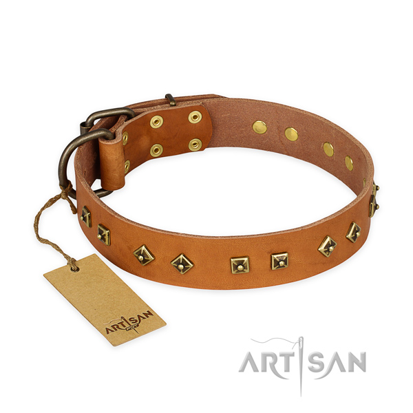 Significant design decorations on leather dog collar
