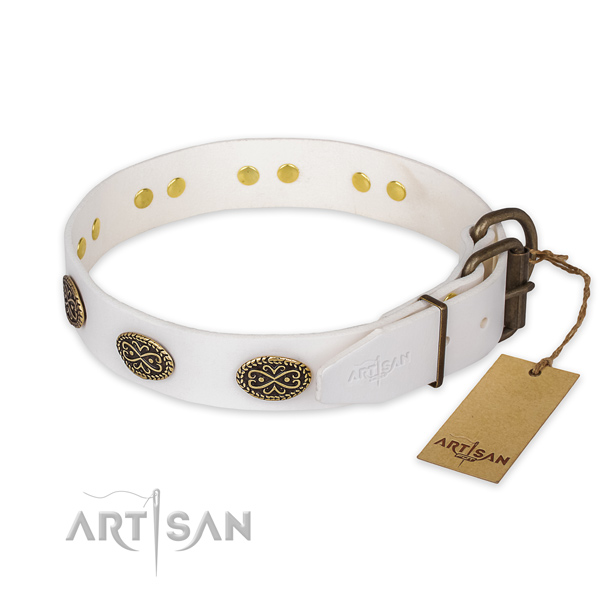 Daily use full grain genuine leather collar with studs for your dog