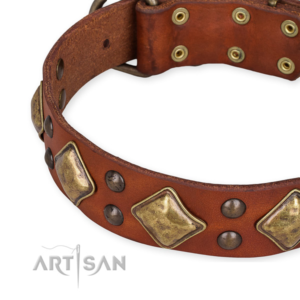 Adjustable leather dog collar with resistant rust-proof buckle