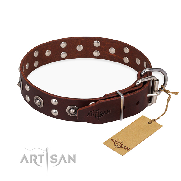 Everyday walking full grain leather collar with adornments for your doggie
