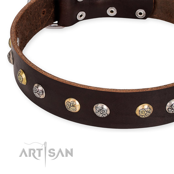Easy to use leather dog collar with almost unbreakable durable hardware