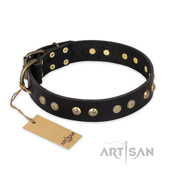 Amazing design embellishments on full grain leather dog collar