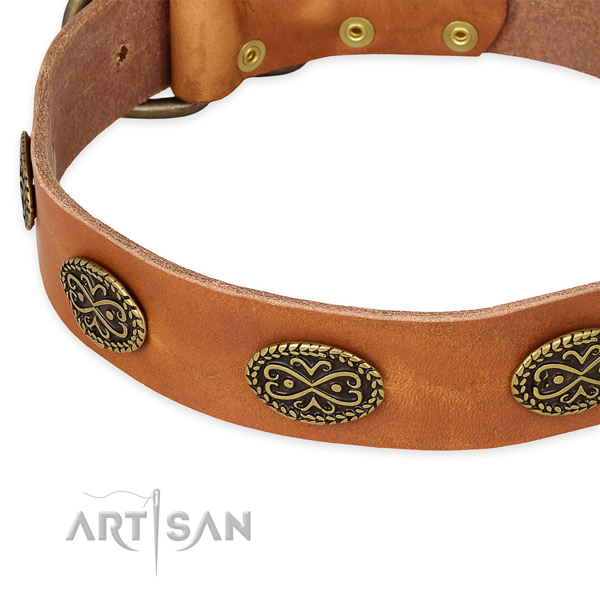 Daily walking genuine leather collar with rust resistant buckle and D-ring