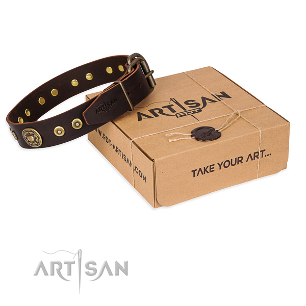Top quality brown leather dog collar for daily use