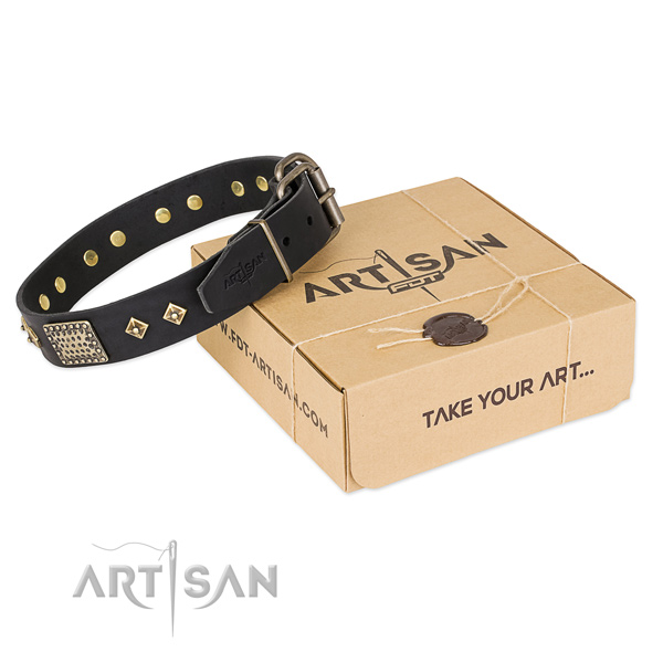 Best quality genuine leather dog collar for walking in style