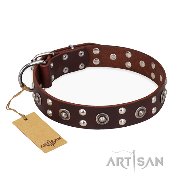 Impressive design embellishments on full grain natural leather dog collar