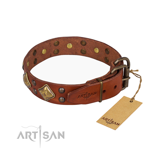 Functional leather collar for your elegant canine