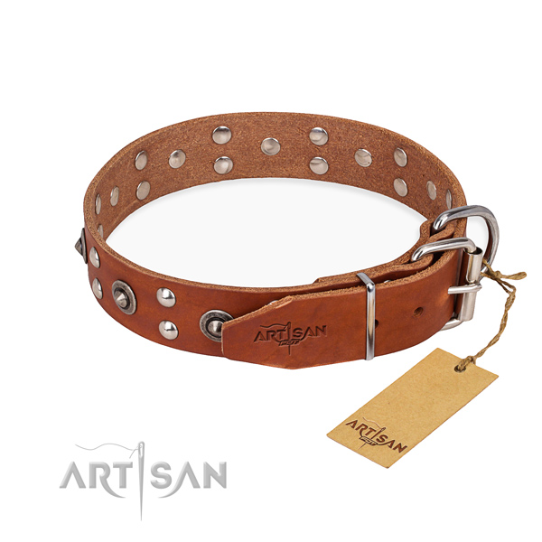 Everyday use leather collar with studs for your canine