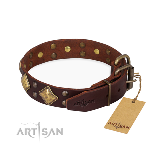 Versatile leather collar for your stunning pet