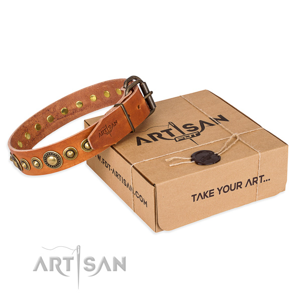 Perfect fit full grain genuine leather dog collar for walking