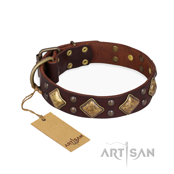 Top notch design studs on full grain leather dog collar