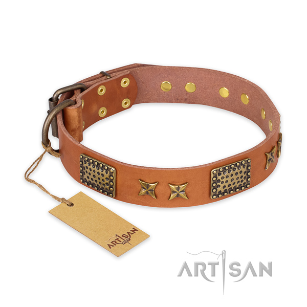 Awesome design decorations on full grain natural leather dog collar