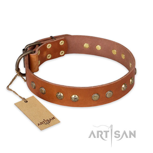 Extraordinary design studs on full grain genuine leather dog collar