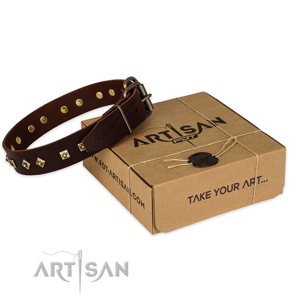 Stylish design full grain natural leather dog collar for daily use