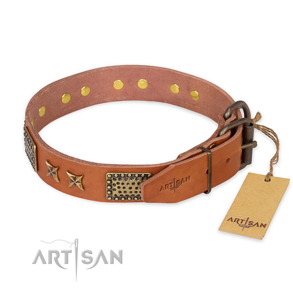 Walking natural genuine leather collar with decorations for your pet
