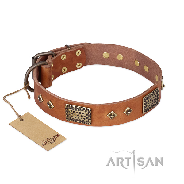 Inimitable design embellishments on full grain leather dog collar