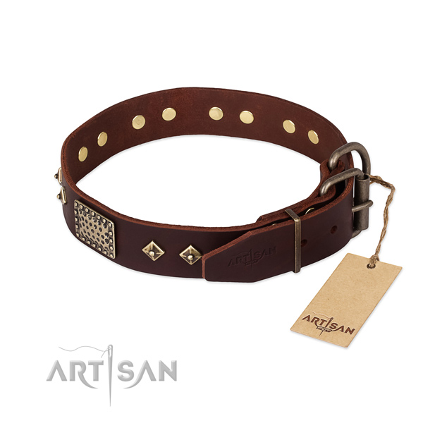Stylish walking leather collar with studs for your doggie