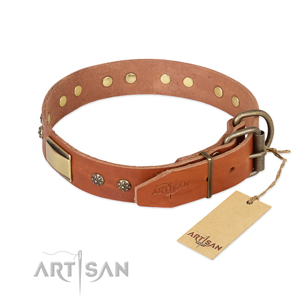 Stylish walking full grain natural leather collar with adornments for your canine