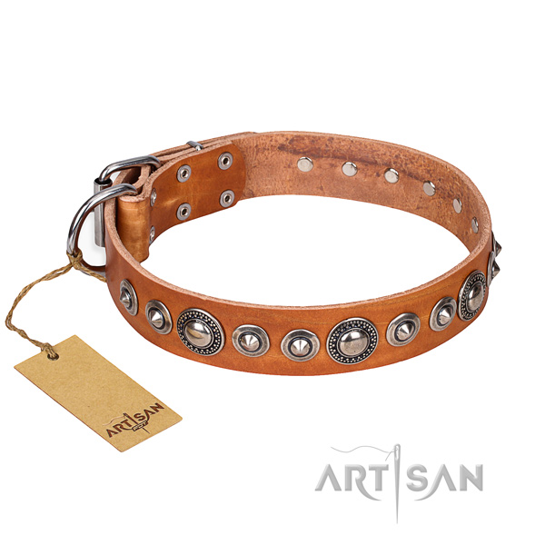 Hardwearing leather dog collar with rust-proof details