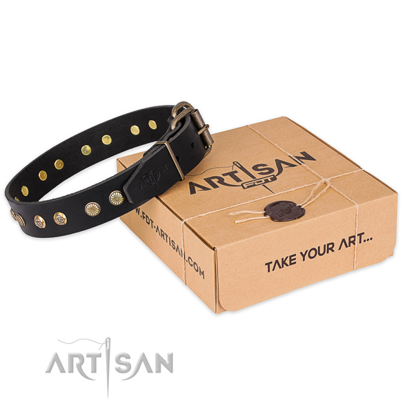 Stylish design full grain leather dog collar for stylish walks