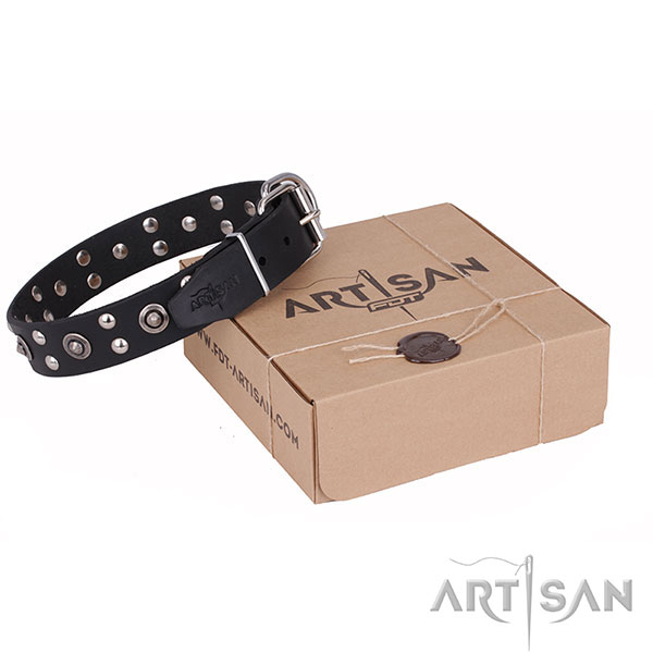 Fine quality full grain natural leather dog collar for stylish walks