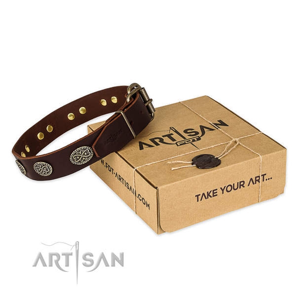 Fine quality natural genuine leather dog collar for everyday walking